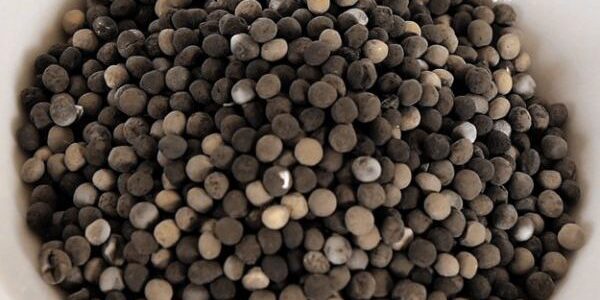 Beads_Applied-e1563267594157